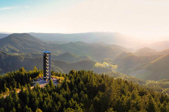 PD-Generator besteht Feldversuch